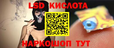 ECSTASY Новозыбков