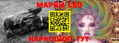 ECSTASY Новозыбков