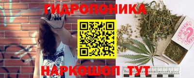 марихуана Новодвинск