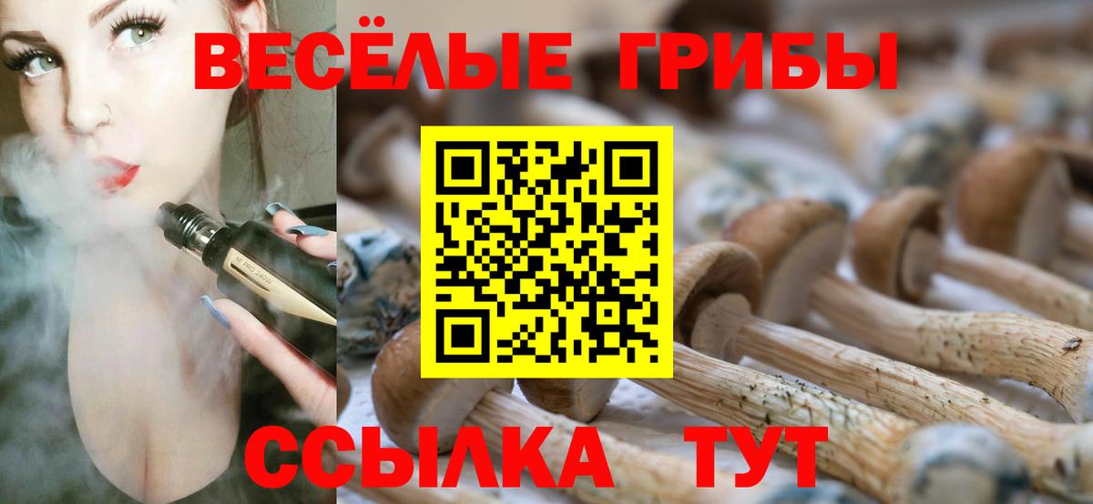 Псилоцибиновые грибы прущие грибы Верхний Уфалей