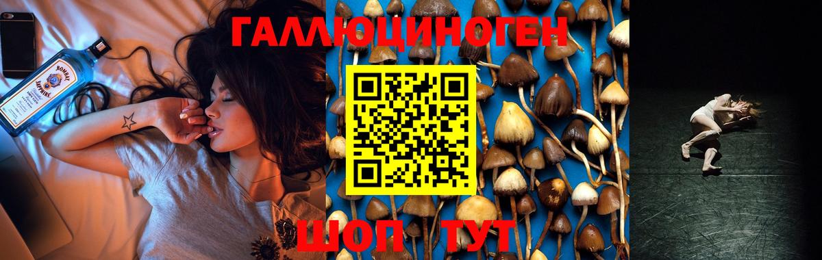 Галлюциногенные грибы Psilocybe  наркота  Верхний Уфалей  Галлюциногенные грибы ЛСД  Вход с VPN 